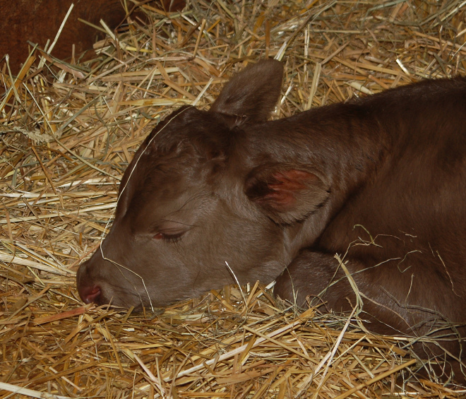 FullCircle Walter- 5/28/15