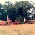Grandaddy Tractor 2