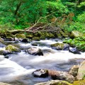 _DSC1251
