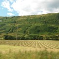 DSCF1091