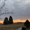 IMG_2161
