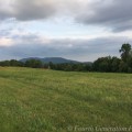 IMG_6631